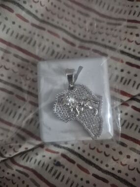 Sterling Silver Africa Lion Pendant - Unisex Jewelry